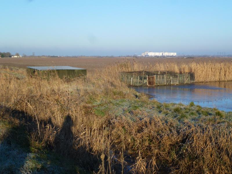 Semaine de la Biodiversité - Visite d'une tonne de chasse
