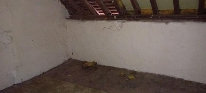 Maison ancienne - 151 m² - 6 pièces