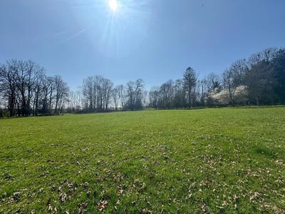 Terrain - 17 497 m²