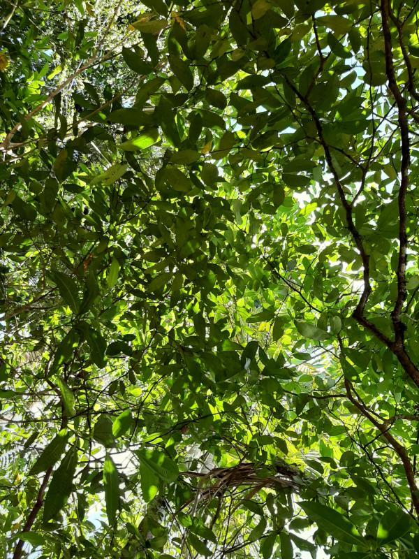 Terrain - 28 000 000 m²