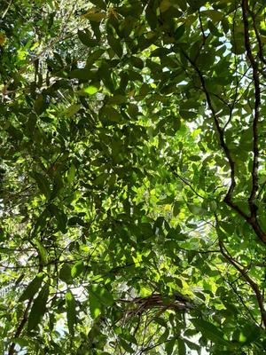 Terrain - 28 000 000 m²