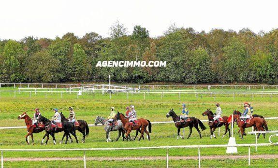 Fonds de commerce - 30 000 m²