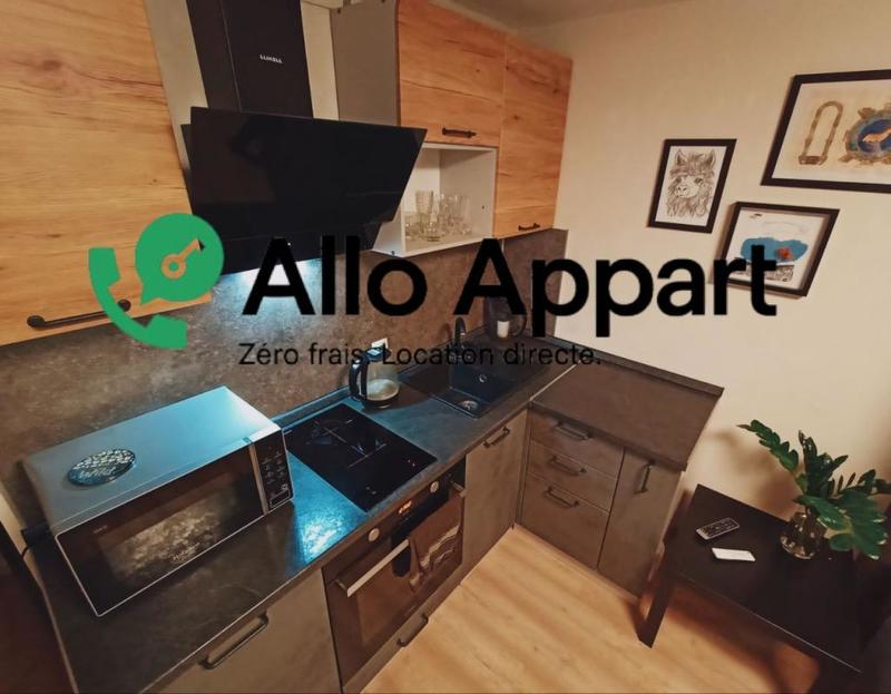 Studio - 19 m² - 1 pièce