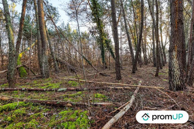 Terrain de loisirs - 1 595 m²