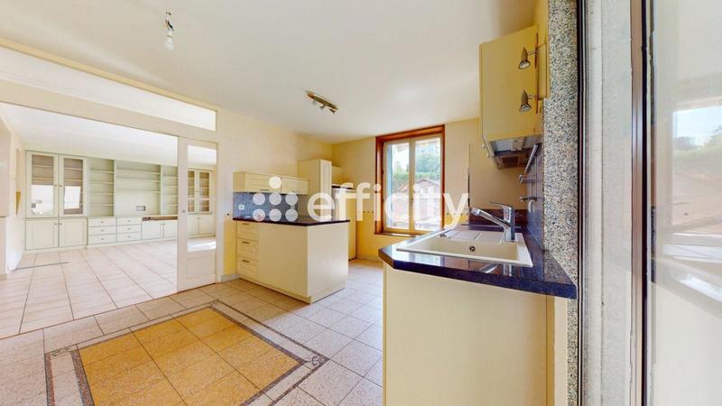 Maison - 333 m² - 8 pièces