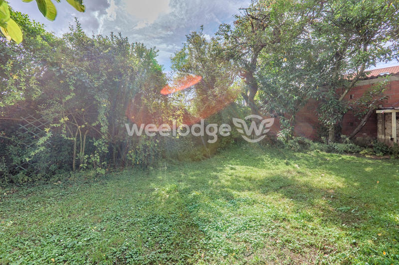 Appartement - 34 m² - 1 pièce