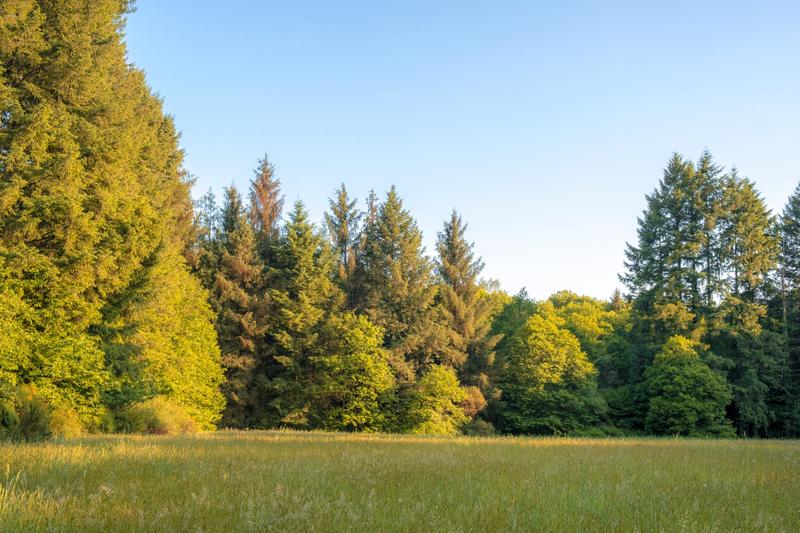 Maison - 340 m² - 15 pièces