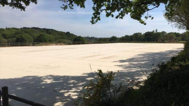 Haras - 418 m² - 12 pièces