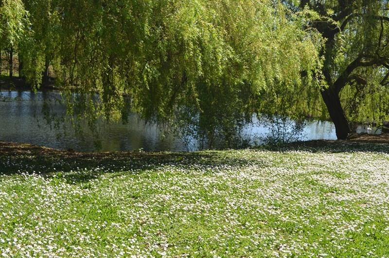 Maison - 253 m² - 8 pièces