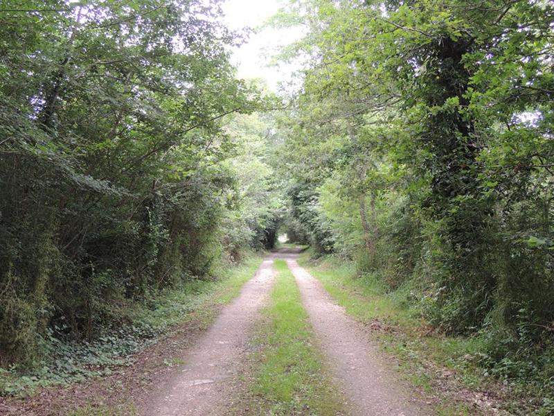 Terrain - 467 200 m²