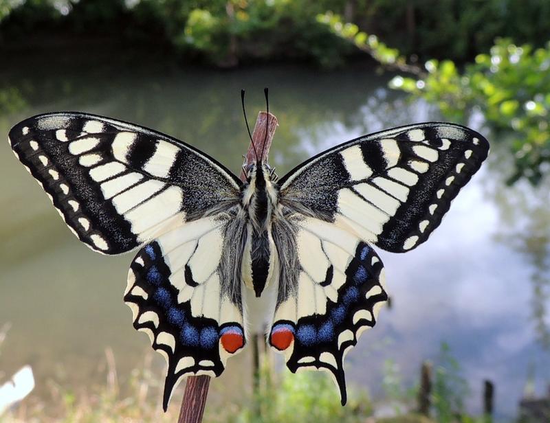 Un regard sensible sur le patrimoine local