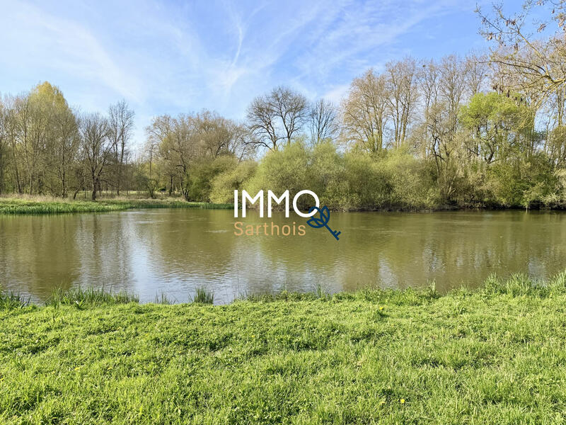 Terrain - 12 977 m²