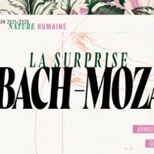Bach-Mozart - Sonates pour Clavecin et Violon (La Surprise)