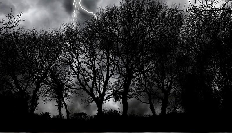 Balade nocturne sur la réserve naturelle à Montenach