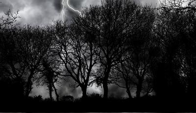 Balade nocturne sur la réserve naturelle à Montenach