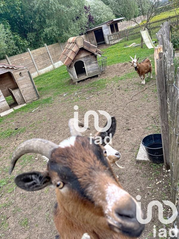 Maison - 174 m² - 7 pièces