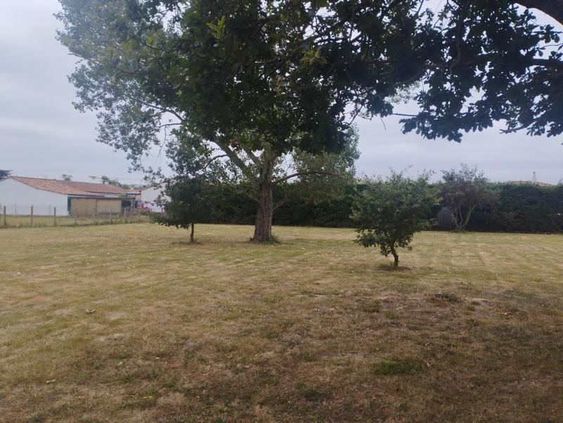 Terrain constructible - 977 m²