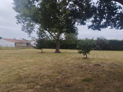 Terrain constructible - 977 m²