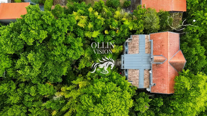 Maison - 300 m² - 10 pièces