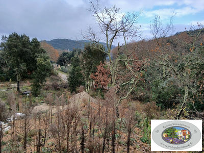 Villa - 171 m² - 4 pièces