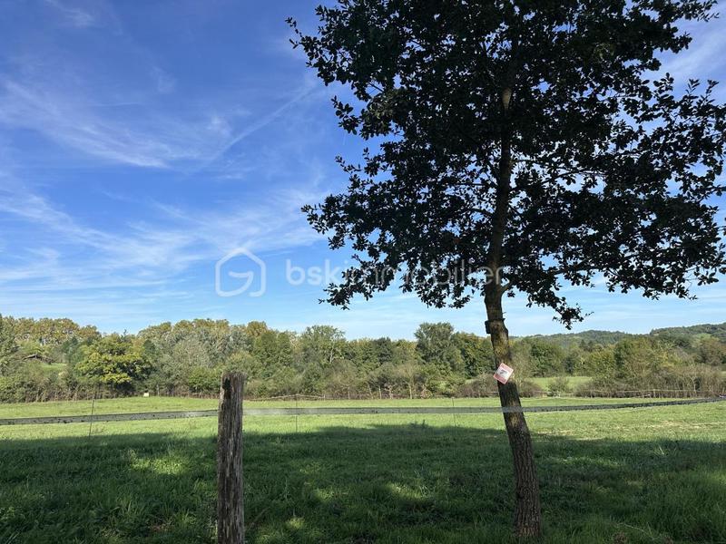 Maison de domaine équestre - 380 m² - 11 pièces