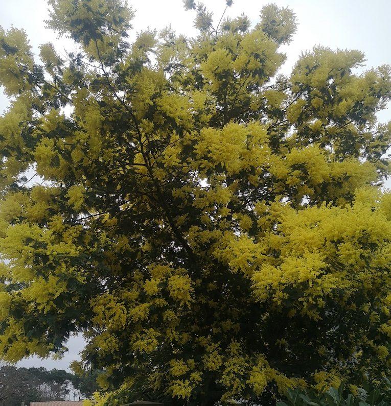 Appartement - 53 m² - 2 pièces