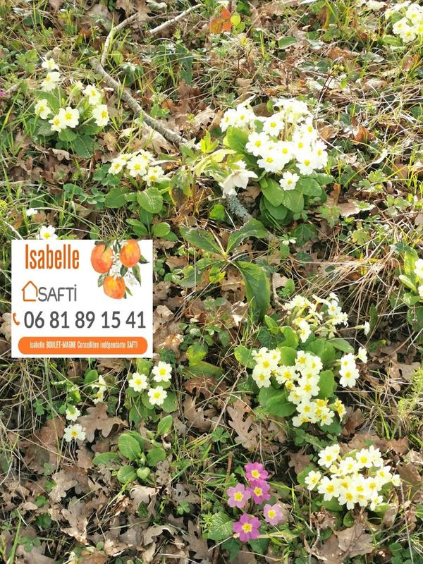 Maison - 172 m² - 7 pièces