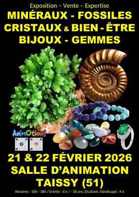 Salon Minéraux Fossiles Gemmes Météorites Cristaux &amp; Bien-Être et Bijoux de Créateurs