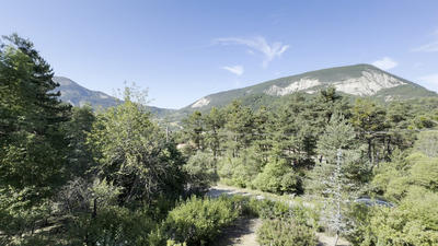 Maison traditionnelle - 150 m² - 7 pièces