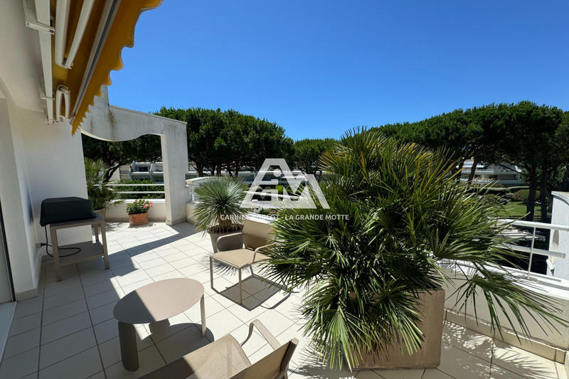 Viager - Appartement - 86 m² - 3 pièces