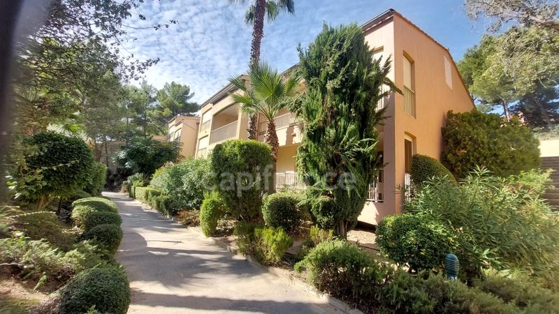 Appartement - 31 m² - 2 pièces