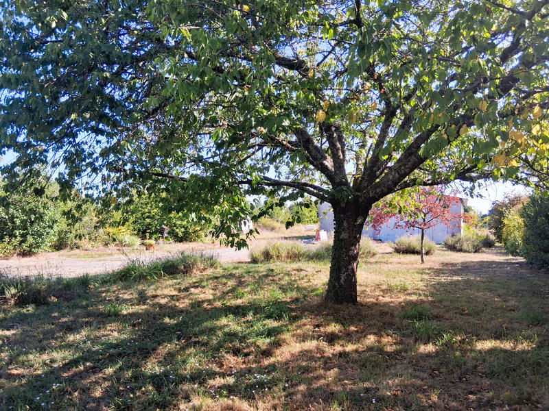 Maison - 118 m² - 5 pièces