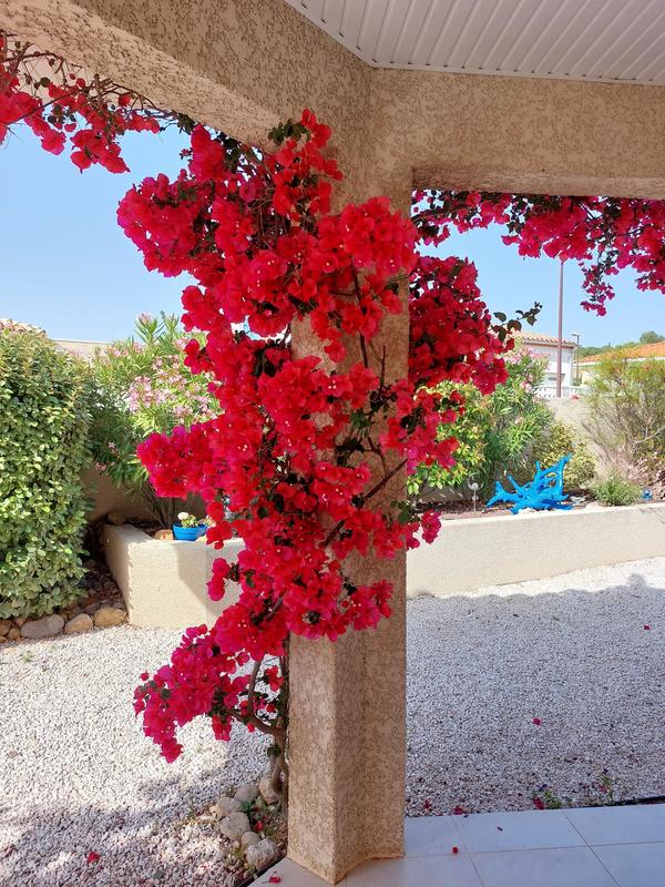 Villa - 113 m² - 4 pièces