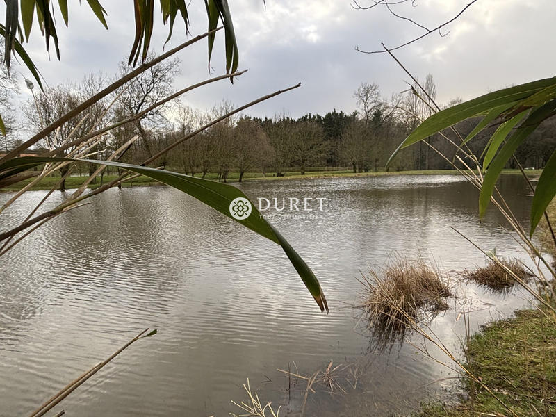 Terrain de loisirs - 9 863 m²