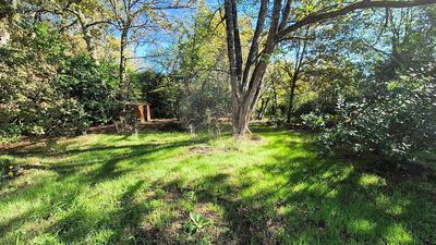 Terrain - 800 m²