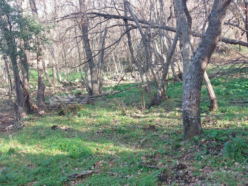 Terrain constructible - 1 361 m²