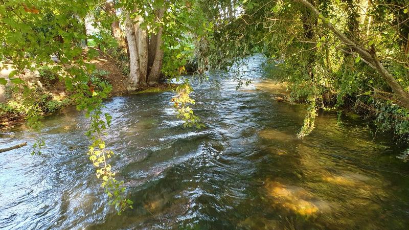 Terrain constructible - 2 540 m²