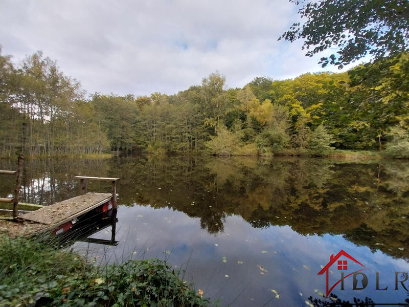 Terrain - 46 300 m²