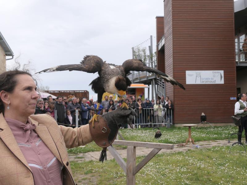 Fête des rapaces et "Spectacle de fauconnerie" à Terres d'Oiseaux