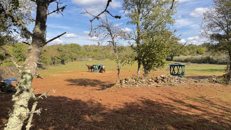 Propriété - 150 m² - 6 pièces