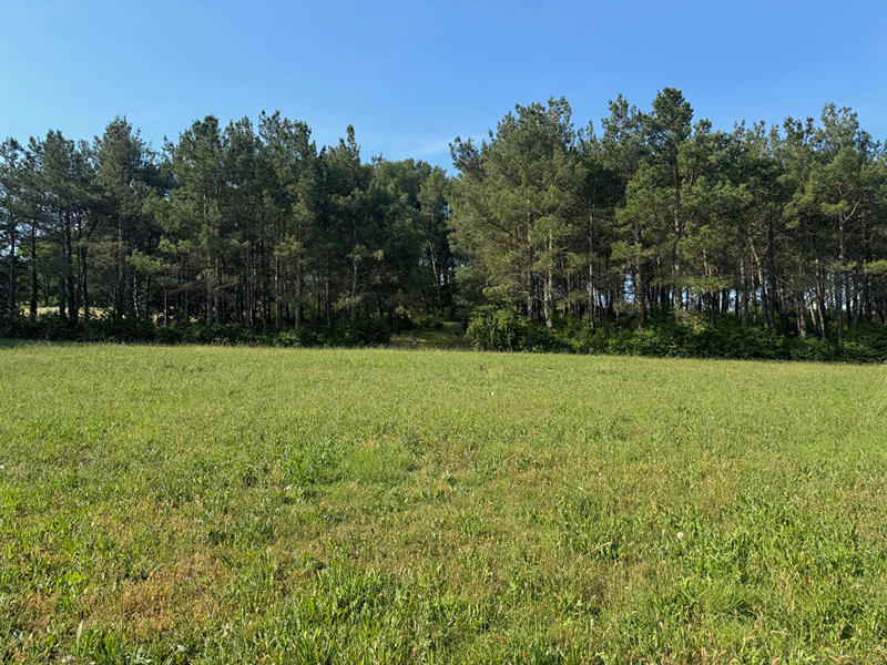 Maison - 270 m² - 7 pièces