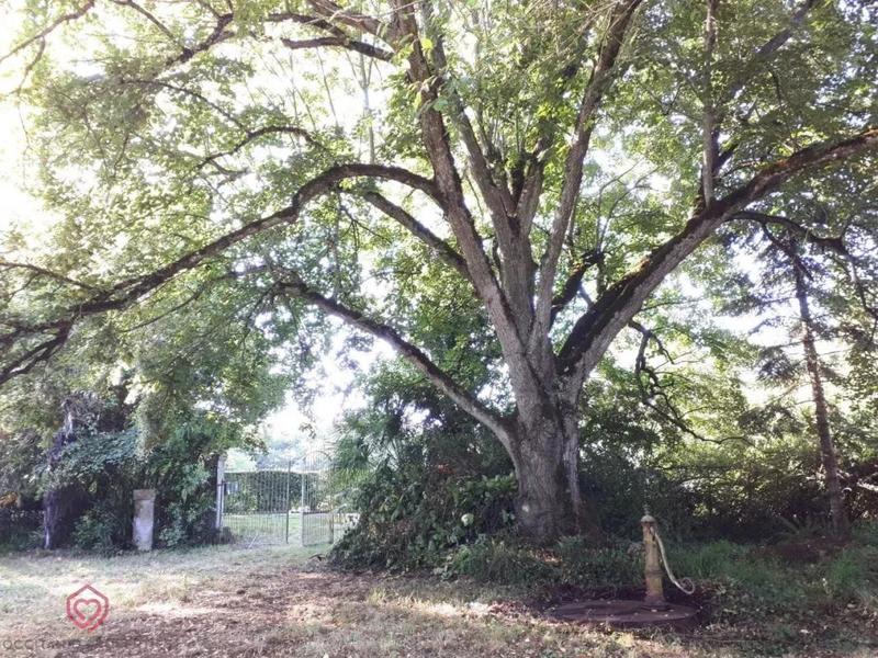 Maison de maîtres - 150 m² - 6 pièces