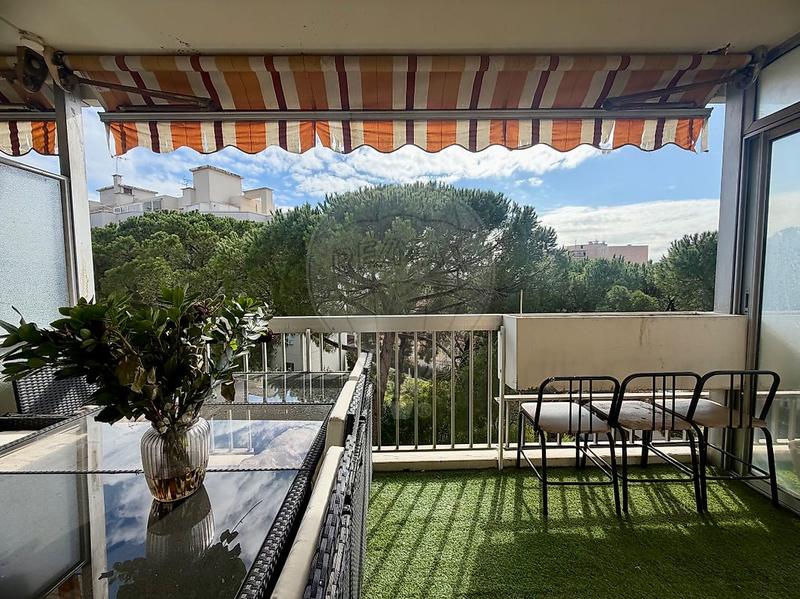 Studio - 36 m² - 1 pièce