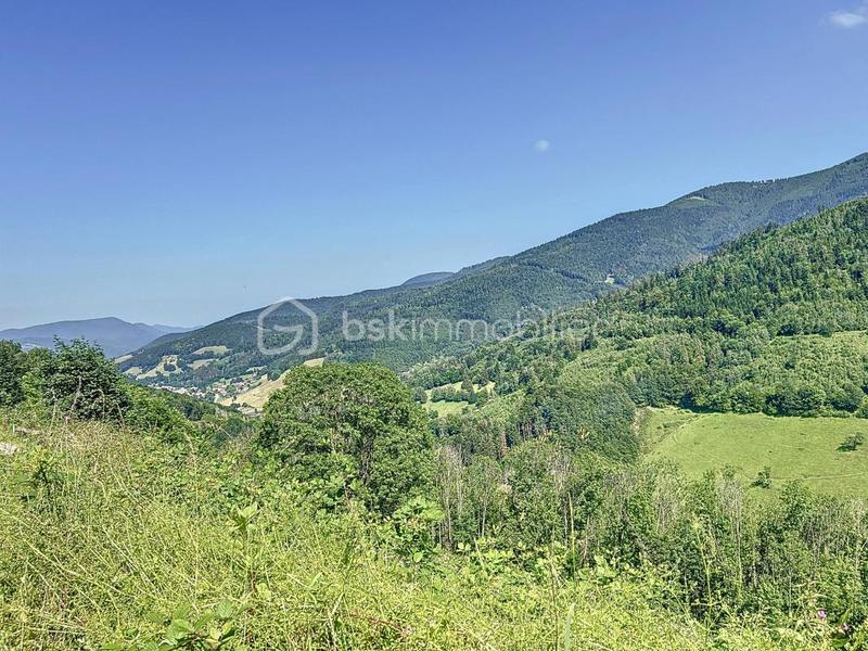 Immeuble - 491 m² - 23 pièces