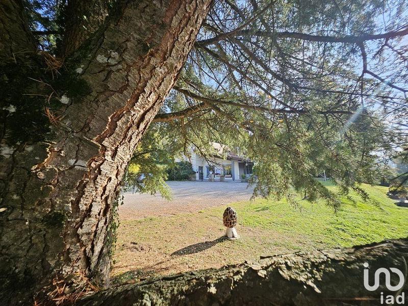 Local commercial - 400 m²