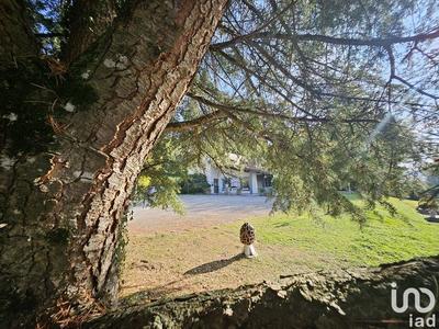 Local commercial - 400 m²