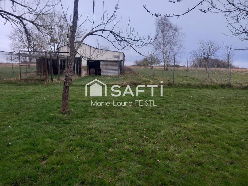 Maison - 137 m² - 7 pièces