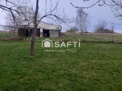 Maison - 137 m² - 7 pièces