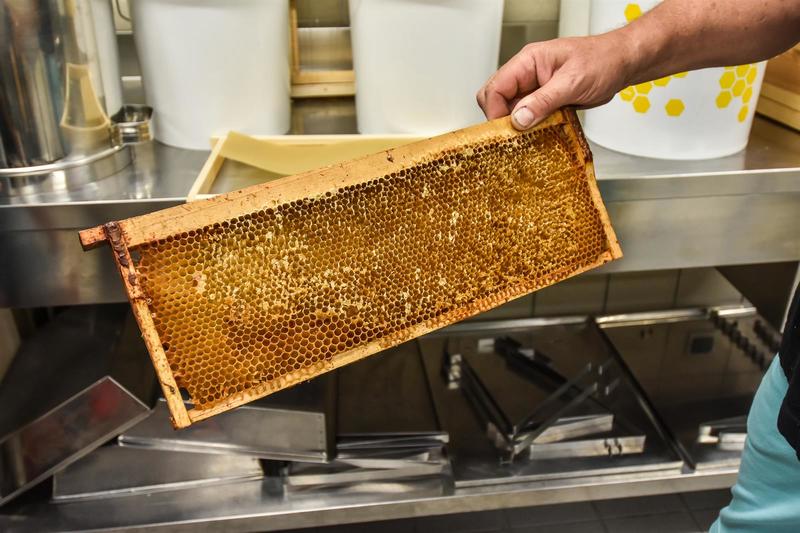 Visite guidée de la miellerie