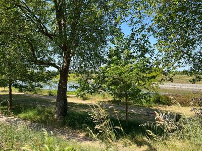 Appartement - 87 m² - 4 pièces